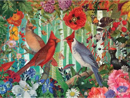 KI Puzzles 1000 Piece Puzzle for Adults Birch Bird Jenna Dellagrottaria Cardinals Jigsaw Puzzle 27x20