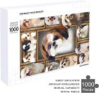 Shih Tzu Dog Jigsaw Puzzle 1000 PCS Character Puzzle Movie Movie Moe Goods Popular Actor Idol Wooden Puzzle Wall Decor Beginner Gift Birthday Christmas Present Beautiful Packaging Box